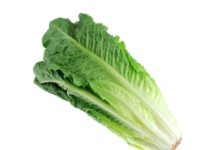 84 folks now sickened in E. coli outbreak tied to wendy’s restaurant lettuce