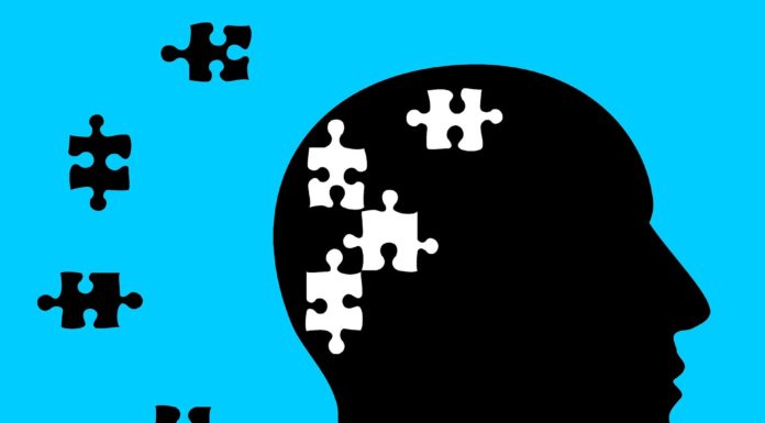 Researchers uncover how DDT publicity contributes to Alzheimer’s illness threat