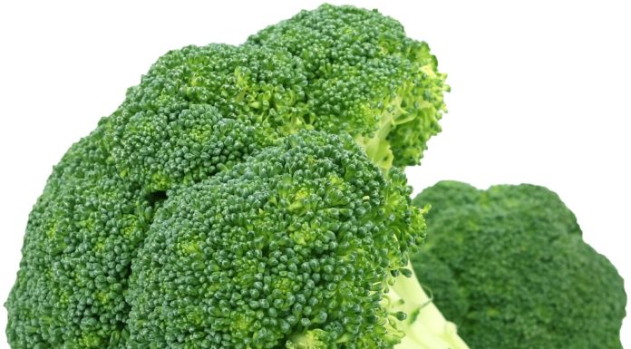 Consuming inexperienced greens, dietary supplements suppresses inflammatory bowel illness