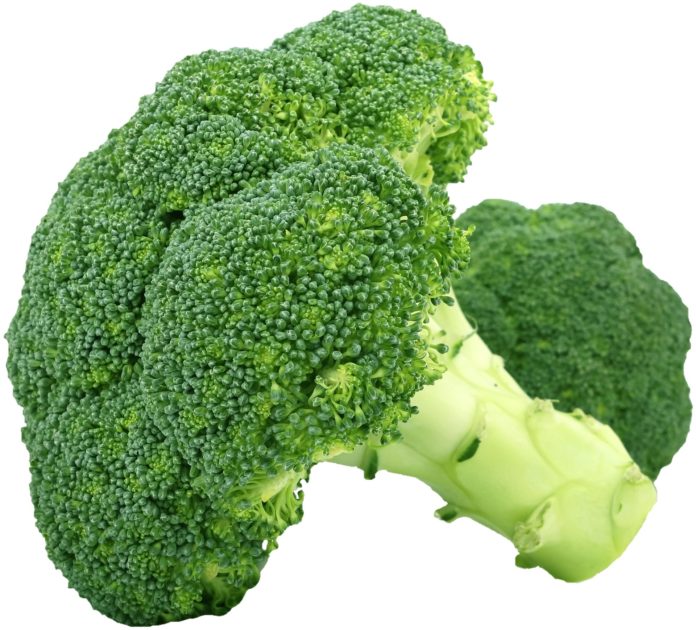broccoli.jpg