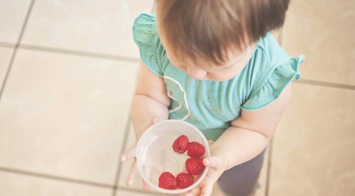 Research finds kids lacking out on wholesome diets at childcare