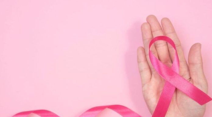 Weight loss plan excessive in n-3-PUFAs linked to decrease breast most cancers threat