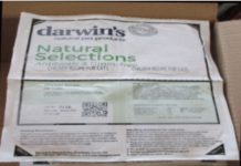 FDA warns of salmonella hazard in Darwin’s uncooked cat meals