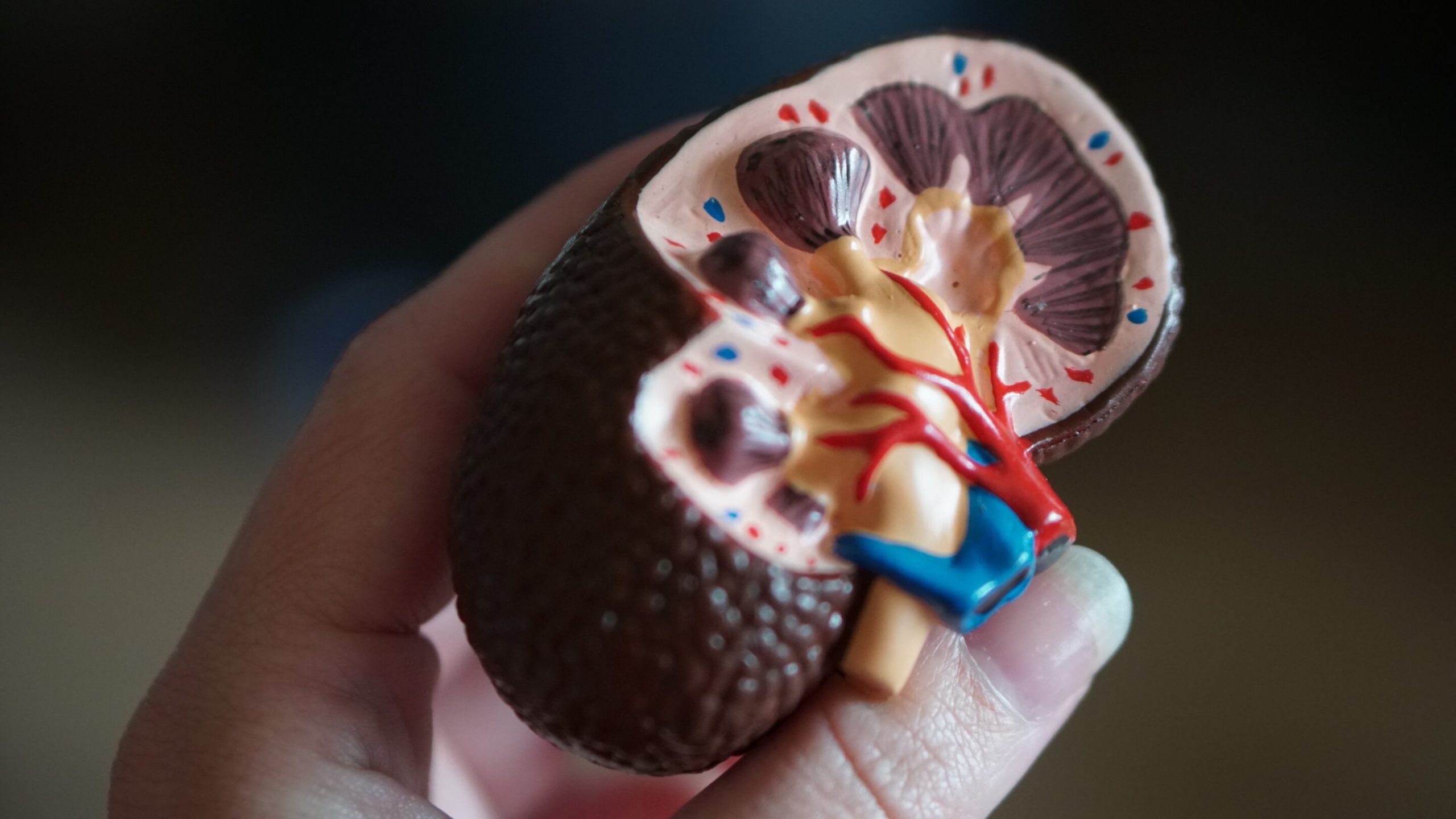kidney-dialysis.jpg