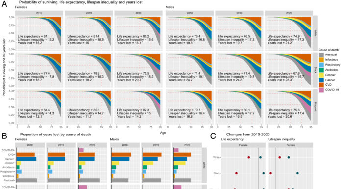 Life expectancy of minorities hit hardest within the US throughout COVID-19