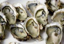 2 deaths in Florida linked to uncooked oysters from Louisiana