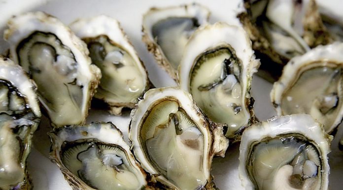 2 deaths in Florida linked to uncooked oysters from Louisiana
