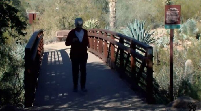 Prescribing nature for psychological, bodily well being