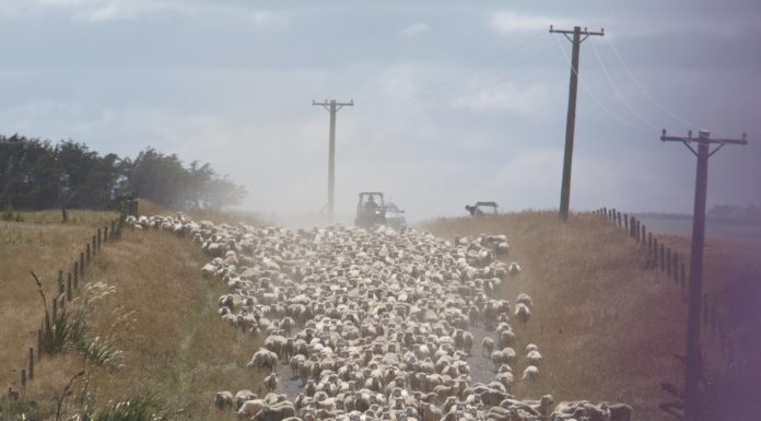 Well being outcomes for rural communities could also be poorer than beforehand thought