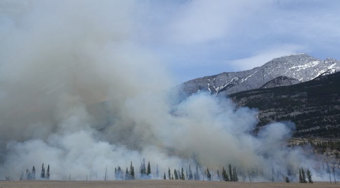 Air air pollution, together with throughout wildfires, exhibits in poor health results in youngsters