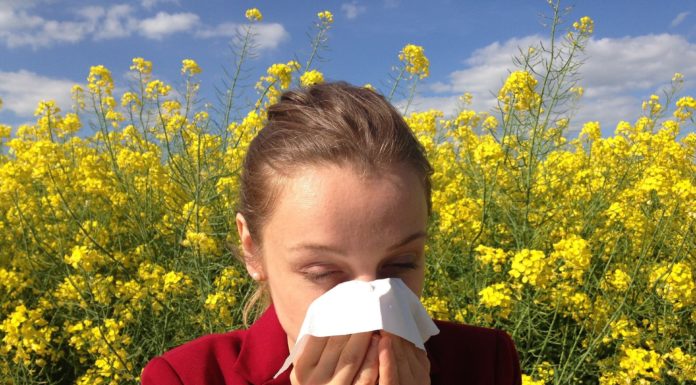 Fall allergic reactions: What to anticipate