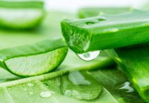 4 DIY curd hair masks to treatment hair fall, dryness and dandruff