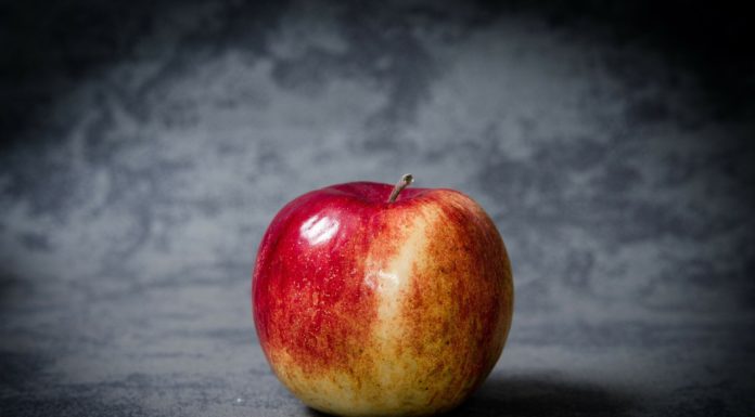 Fruits seem like higher mind meals