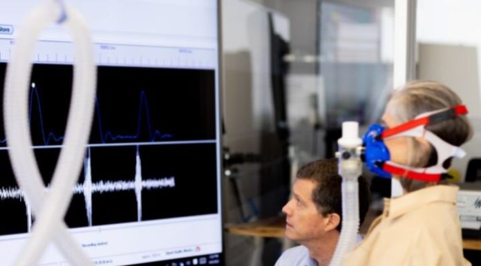 Researcher discovers a muscle that may promote glucose and fats burning to gas metabolism for hours whereas sitting