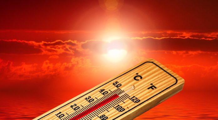 AI-based analysis reveals that excessive temperatures gasoline on-line hate speech