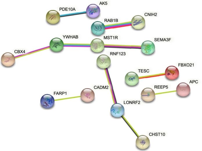 genetic-background-ass.jpg