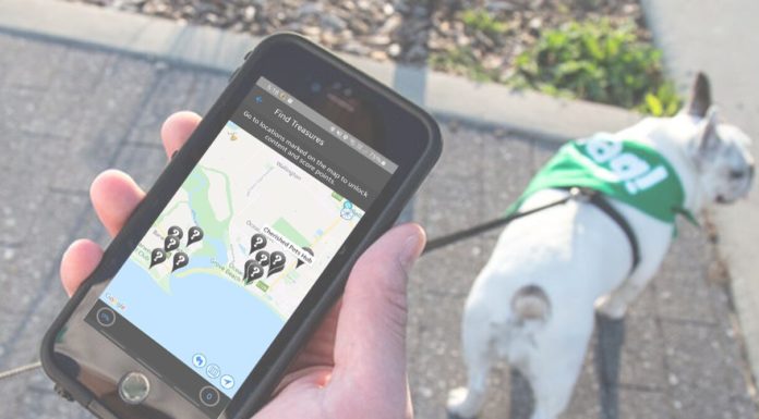 How we are able to use gaming to assist optimistic getting older (and assist {our relationships} with our pets, too)