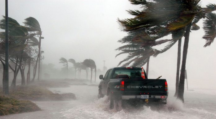Well being and wellness tricks to climate extreme storms