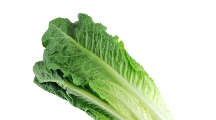 Extra circumstances in E. coli outbreak tied to Wendy’s restaurant lettuce