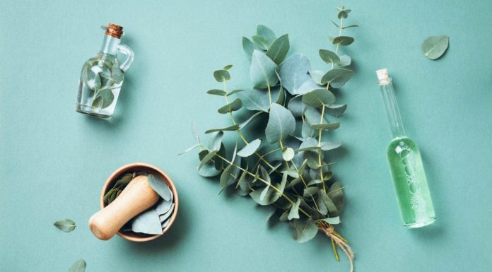 What’s naturopathy and what are its well being advantages