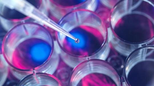 texas-must-tackle-stem.jpg