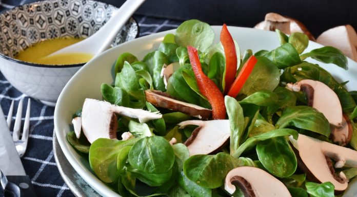 Low-carb vegan weight loss program reveals comparable well being advantages to vegetarian weight loss program, research reveals