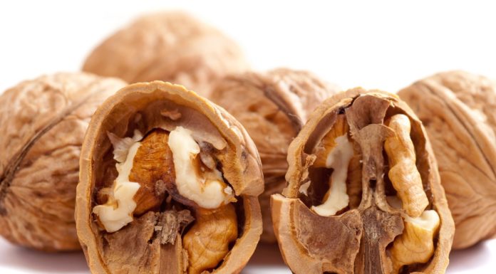 Examine suggests walnuts are bridge to higher well being as we age