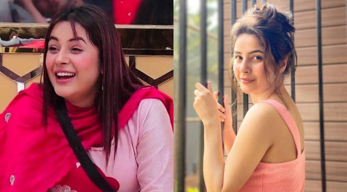 Shehnaaz Gill drank this within the morning to drop pounds