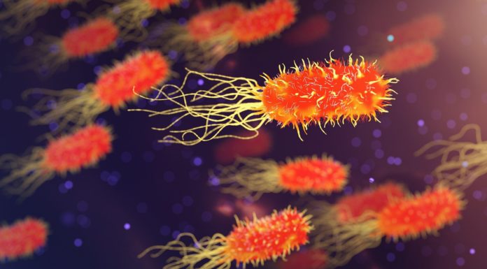 Meals poisoning has dropped barely, CDC finds. However consultants say it is nonetheless an issue