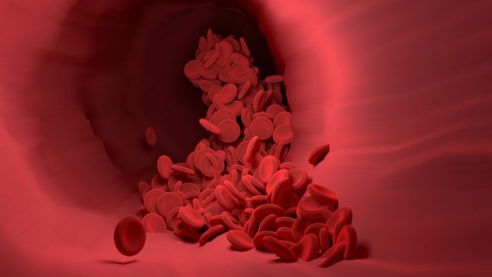 blood-vessel.jpg