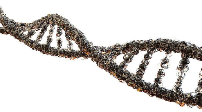 What’s a stool DNA take a look at?