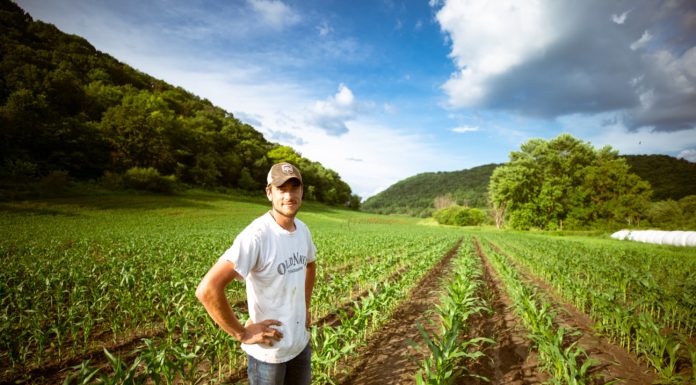 Main new examine reveals ‘regarding’ ranges of bodily and psychological well being issues amongst farmers and agricultural employees