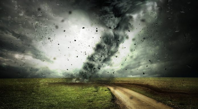 Local weather change will gas ailments, warns World Fund