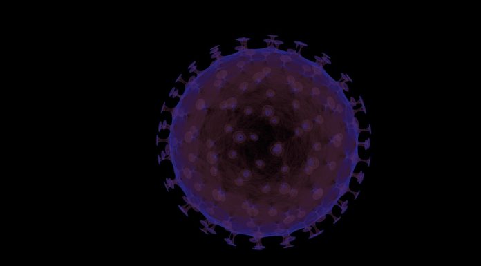 What on the planet is antimicrobial resistance?