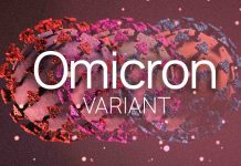 Covid-19: Immunity boosting meals to struggle Omicron variants XXB, BQ.1