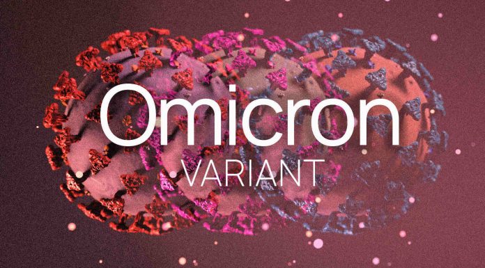 Covid-19: Immunity boosting meals to struggle Omicron variants XXB, BQ.1
