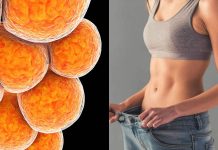 What’s brown fats and the way it helps enhance drop a few pounds?
