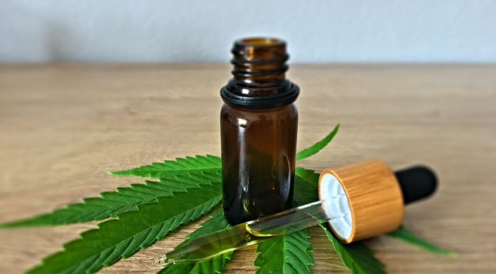 Hashish not made safer by growing its CBD content material, new analysis finds