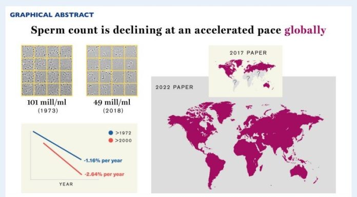 Observe-up research reveals vital decline in sperm counts globally, together with Latin America, Asia and Africa
