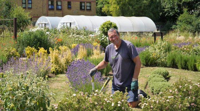 Gardening eased lockdown loneliness as pandemic paralyzed Britain