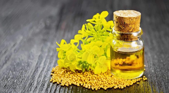 Ayurveda swears by these 5 advantages of mustard oil