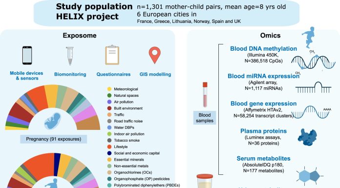 New research gives a novel useful resource for understanding how environmental exposures in youth have an effect on our well being
