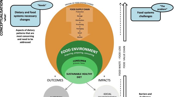 Solely 20% of European food-based dietary pointers embody meals sustainability