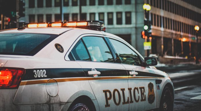 Examine finds vascular neck restraint utilized by regulation enforcement officers is protected and efficient
