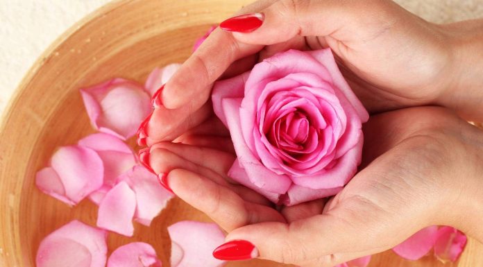 Know easy methods to make rose water at residence for its skincare advantages