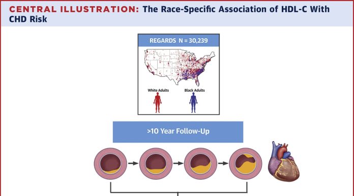 Research challenges ‘good’ ldl cholesterol’s function in universally predicting coronary heart illness threat