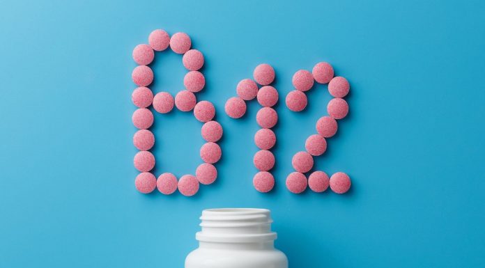 Listed below are 7 meals wealthy in vitamin B12