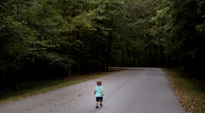 Research examines ties between state TANF insurance policies, Baby Protecting Companies and foster care