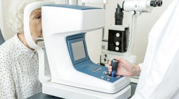 Dietary nitrate consumption linked to decrease danger for AMD development