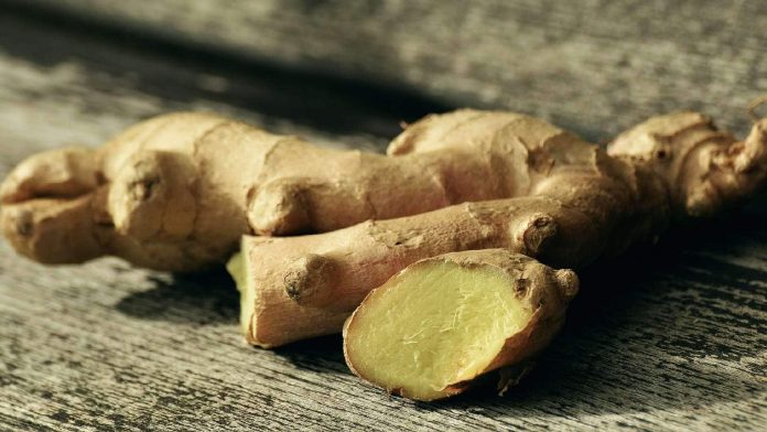 ginger.jpg